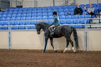 2020 - AB Morgan Horse - Fri, Sept 04 - 07742
