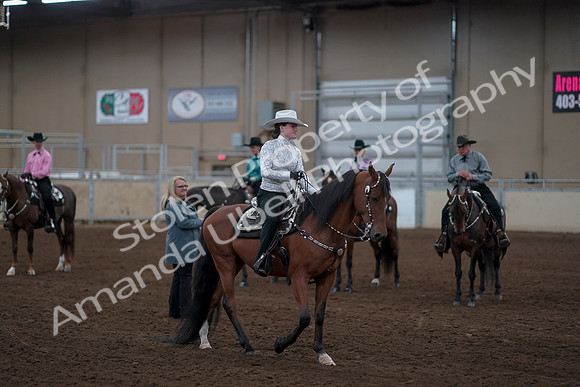 2019 Morgan Horse Show - Sept 01, 2019 - 07253