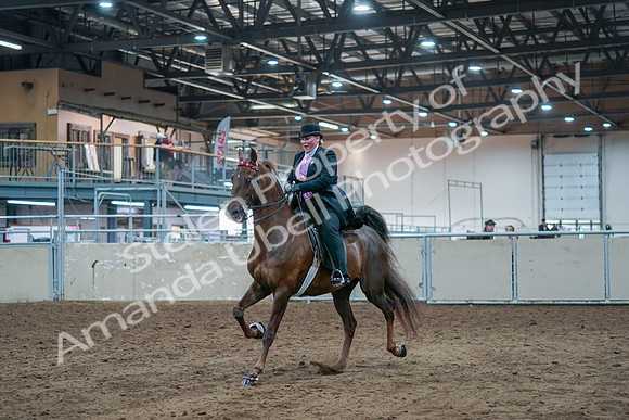 2021 - Alberta Charity Horse Show - Fri, July 09 - 14792