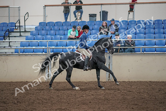 2019 Morgan Horse Show - Aug 31, 2019 - 07527