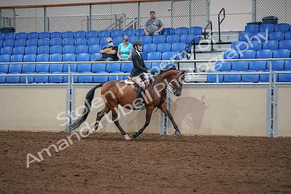 2020 - AB Morgan Horse - Fri, Sept 04 - 06120