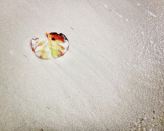 Jamaica - 069