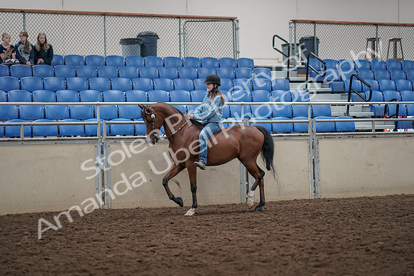 2019 Morgan Horse Show - Aug 30, 2019 - 31092