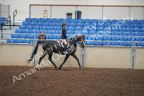 2019 Morgan Horse Show - Aug 30, 2019 - 12453