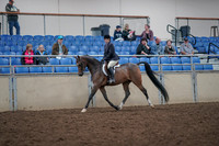 2019 Morgan Horse Show - Aug 31, 2019 - 15848