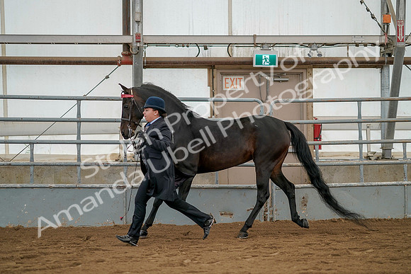 July 19, 2019 - 2078