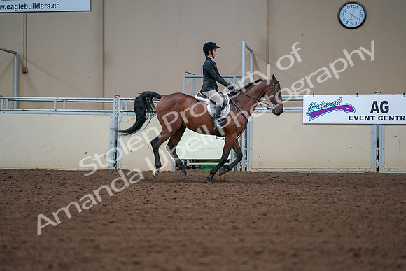 2019 Morgan Horse Show - Aug 30, 2019 - 21044