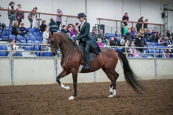 Spring Fling - Saturday - April 20, 2019  -  00631