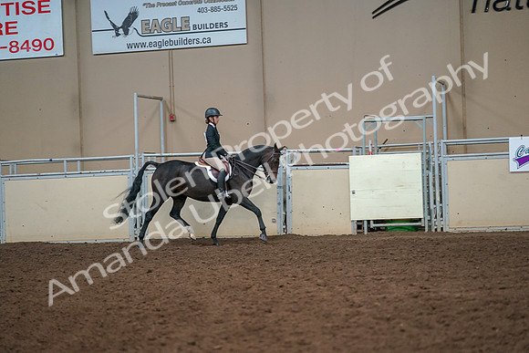 2019 Morgan Horse Show - Aug 30, 2019 - 12356