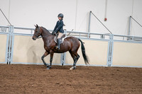 2020 - AB Morgan Horse - Sat, Sept 05 - 04963