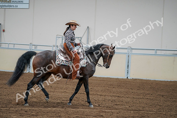 2020 - AB Morgan Horse - Fri, Sept 04 - 00331