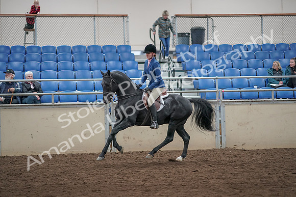 2019 Morgan Horse Show - Aug 31, 2019 - 07351