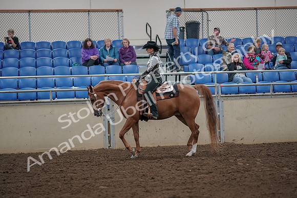 2019 Morgan Horse Show - Aug 30, 2019 - 25872