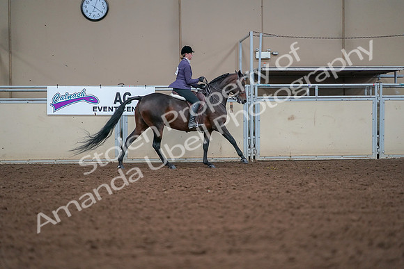 2019 Morgan Horse Show - Aug 30, 2019 - 20968