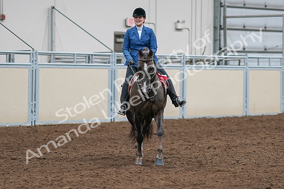 2020 - AB Morgan Horse - Sat, Sept 05 - 05238