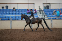 2019 Morgan Horse Show - Aug 30, 2019 - 27191