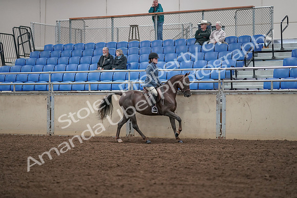 2019 Morgan Horse Show - Aug 31, 2019 - 07482