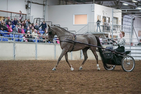 Spring Fling - Saturday - April 20, 2019  -  00233