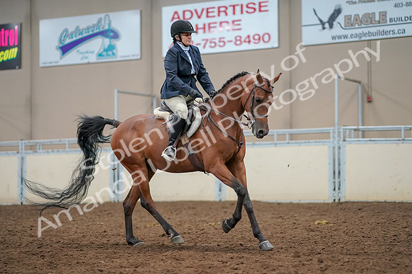 2019 Morgan Horse Show - Aug 30, 2019 - 22546