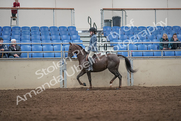 2019 Morgan Horse Show - Aug 31, 2019 - 07197
