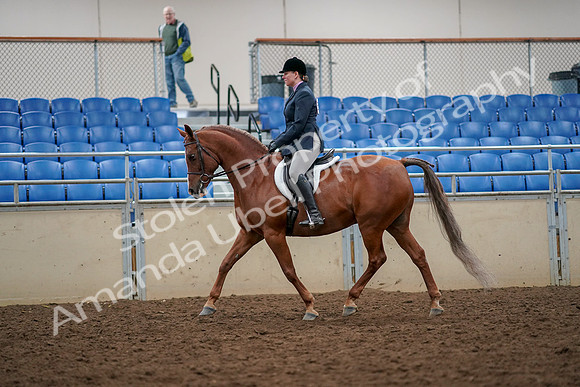 2019 Morgan Horse Show - Aug 30, 2019 - 22218