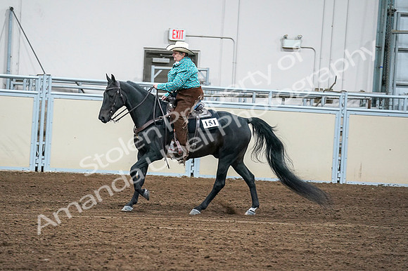 2020 - AB Morgan Horse - Fri, Sept 04 - 00473