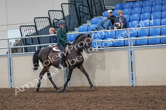 2020 - AB Morgan Horse - Sat, Sept 05 - 05145
