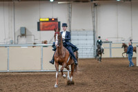 2020 - AB Morgan Horse - Sat, Sept 05 - 11358