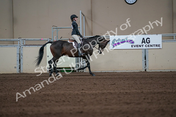 2019 Morgan Horse Show - Sept 01, 2019 - 03872