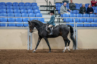 2020 - AB Morgan Horse - Fri, Sept 04 - 07733