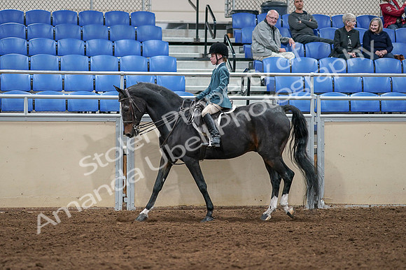 2020 - AB Morgan Horse - Fri, Sept 04 - 07733