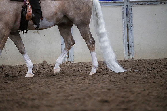 Spring Fling - Saturday - April 20, 2019  -  03985
