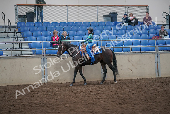 2019 Morgan Horse Show - Aug 31, 2019 - 16313