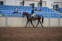 2019 Morgan Horse Show - Sept 01, 2019 - 09020