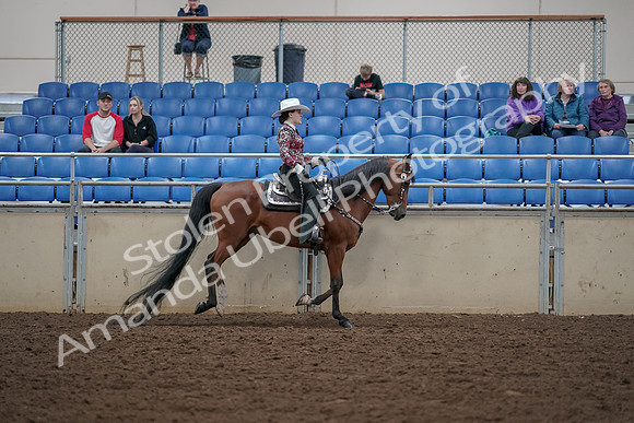 2019 Morgan Horse Show - Aug 30, 2019 - 26204