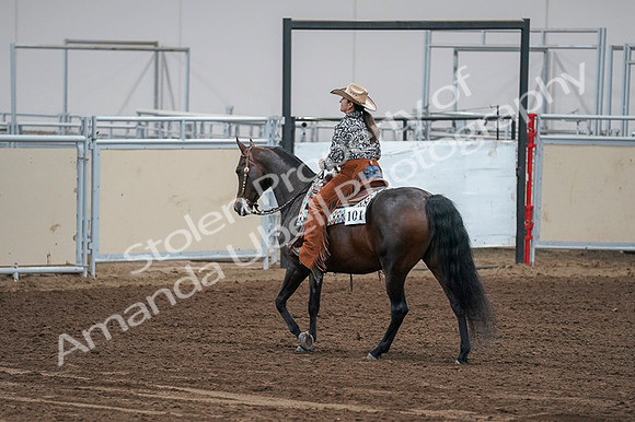 2020 - AB Morgan Horse - Fri, Sept 04 - 00448