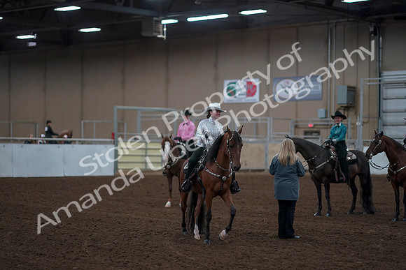 2019 Morgan Horse Show - Sept 01, 2019 - 07243