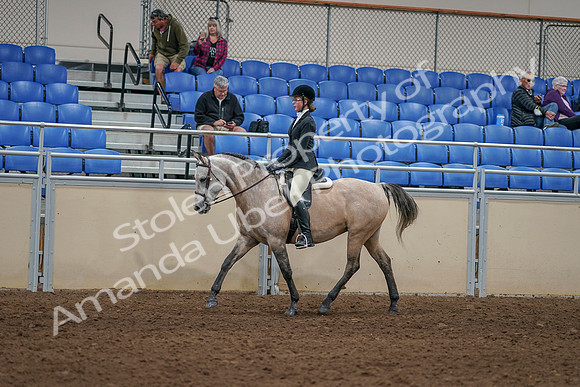 2020 - AB Morgan Horse - Sat, Sept 05 - 01190