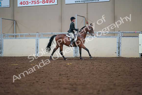 2019 Morgan Horse Show - Aug 30, 2019 - 21028
