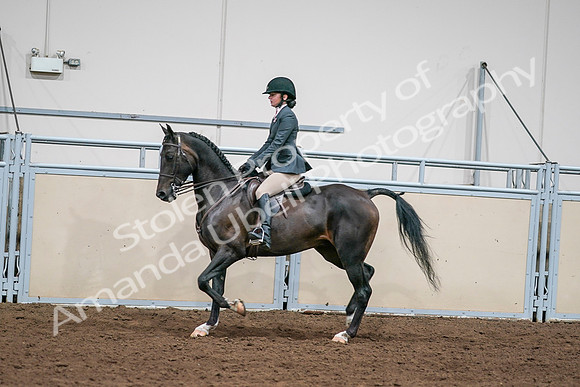 2020 - AB Morgan Horse - Sat, Sept 05 - 09071