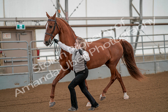 July 19, 2019 - 98