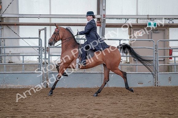 July 20, 2019 - 13921