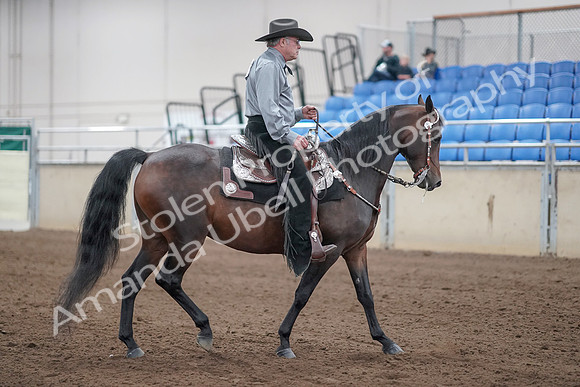 2019 Morgan Horse Show - Sept 01, 2019 - 07014