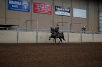 2019 Morgan Horse Show - Aug 30, 2019 - 28286