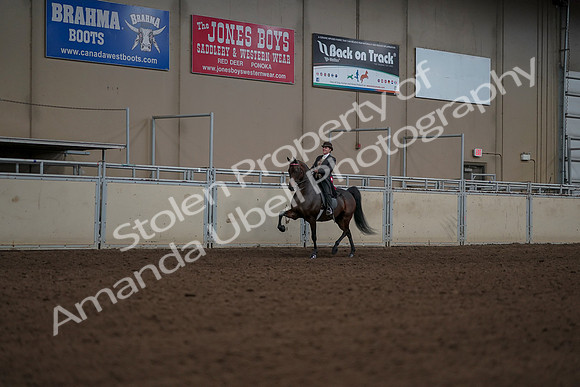 2019 Morgan Horse Show - Aug 30, 2019 - 28286