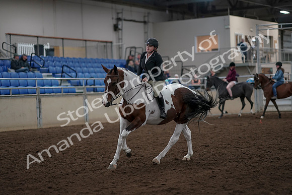 2019 Morgan Horse Show - Aug 30, 2019 - 31281