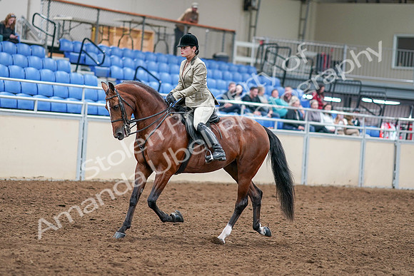 2020 - AB Morgan Horse - Sat, Sept 05 - 14359