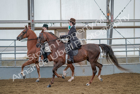 July 20, 2019 - 14594