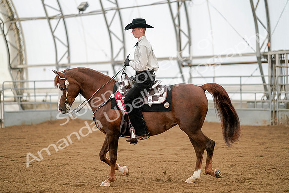 July 20, 2019 - 01172