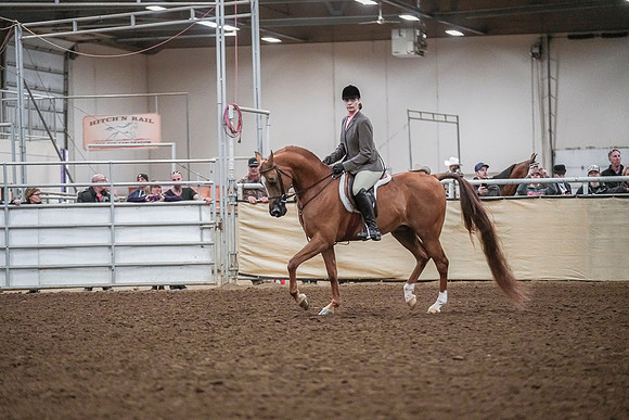 Spring Fling - Saturday - April 20, 2019  -  04550